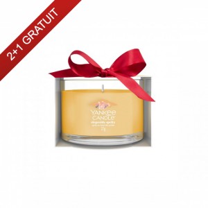 Yankee Candle Lumanare parfumata Mini in sticla Slopeside Spritz